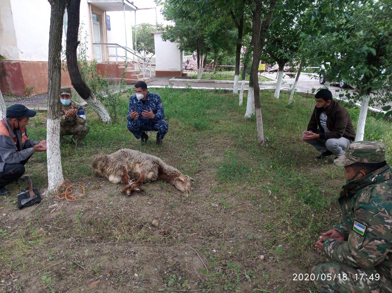 Гулистон туман ИИБ бошлиғи ташаббуси билан тошқин оқибатларини бартараф этишда қатнашаётга…