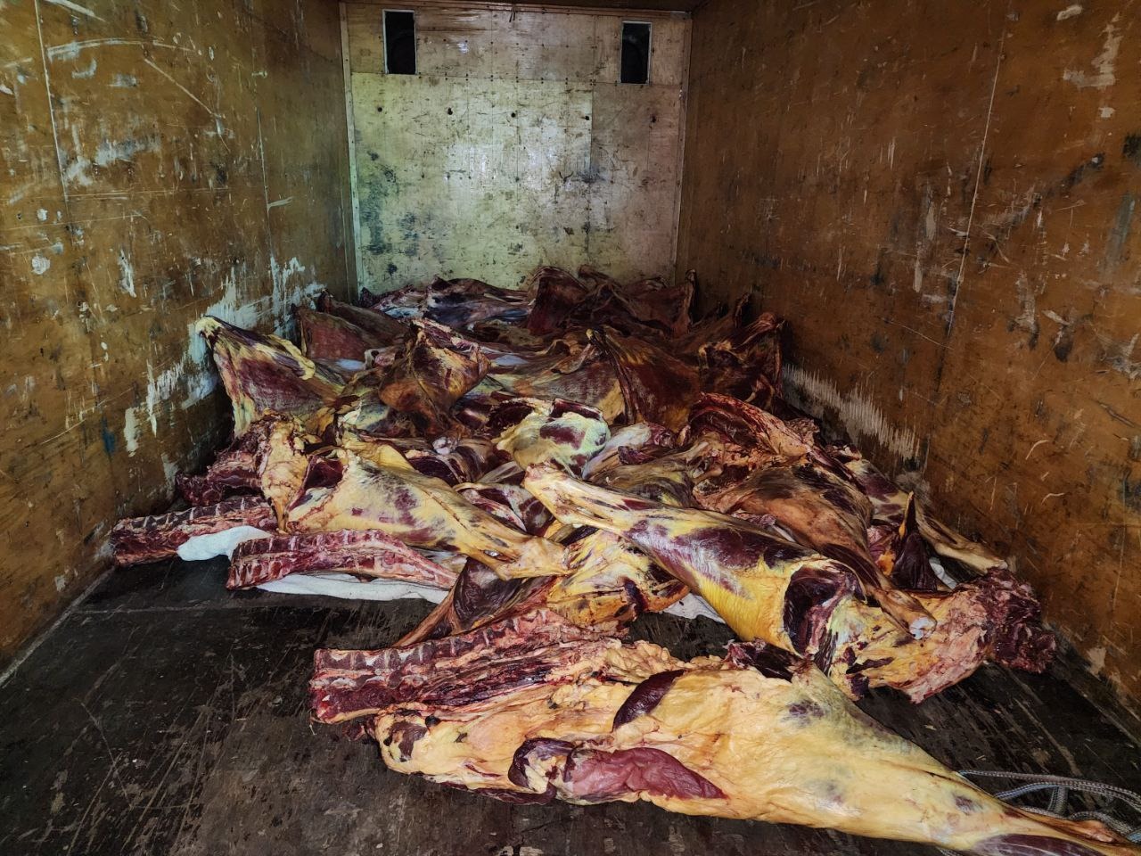 В Сырдарье зафиксирован факт, связанный с непригодным к употреблению мясом